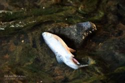 IMG_1986-min