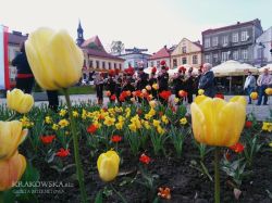 _20170502_220914
