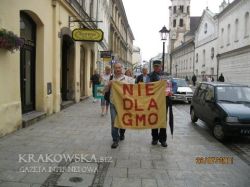 gmo_7.jpg