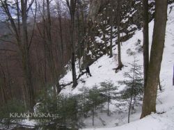 pieniny_9e.jpg