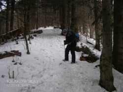 pieniny_3.jpg