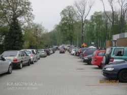 majuz_1.jpg
