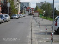 pako2_3.jpg